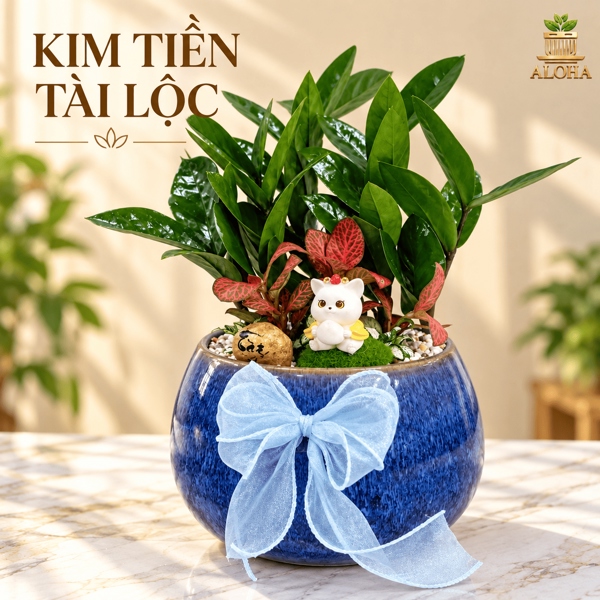 THÀNH PHẨM KIM TIỀN TÀI LỘC
