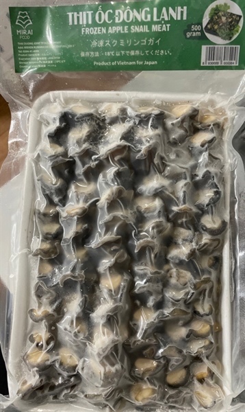 Còi Ốc