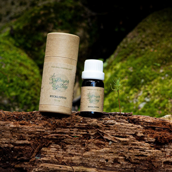 Tinh dầu 10ml - Lá xông