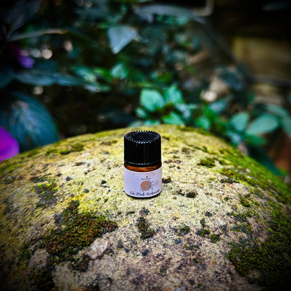 Dầu 1ml - Cà phê robusta