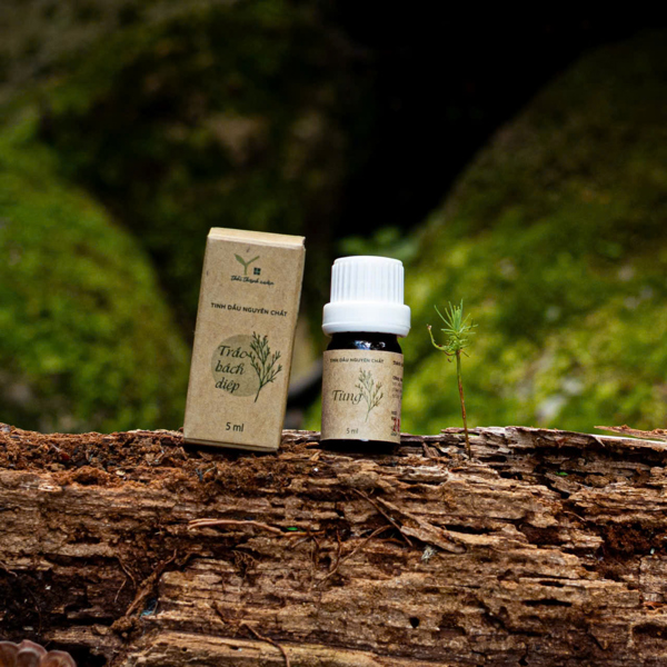 Tinh dầu 5ml - Trắc bách diệp