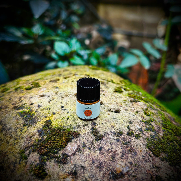 Tinh dầu 1ml - Quýt