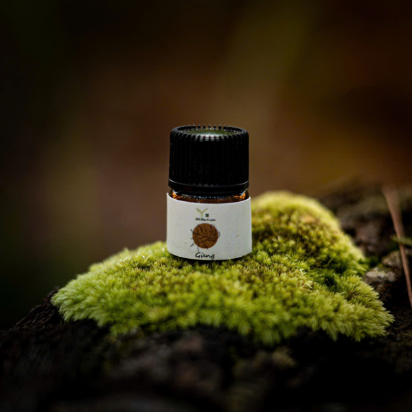 Dầu 1ml - Gừng