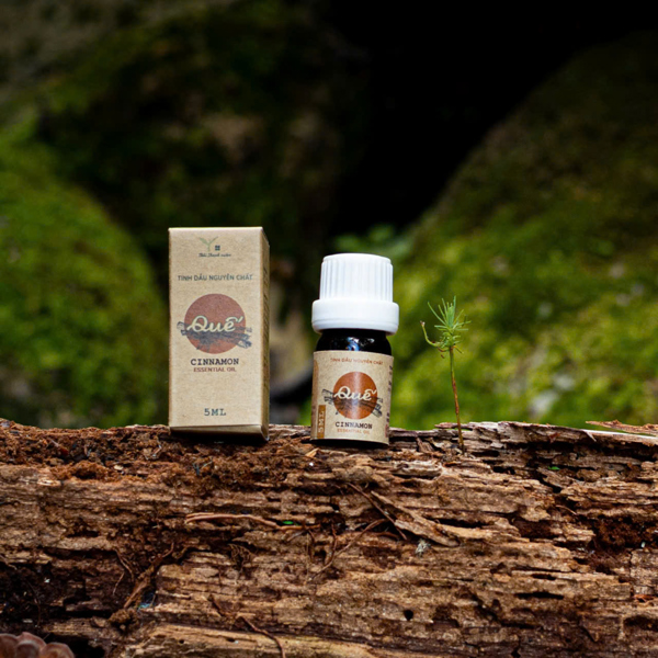 Tinh dầu 5ml - Quế