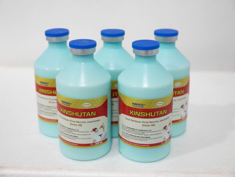 TEMBUSU XINSHUTAN 250ml X