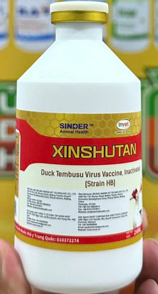 INVET-XINSHUTAN + H5