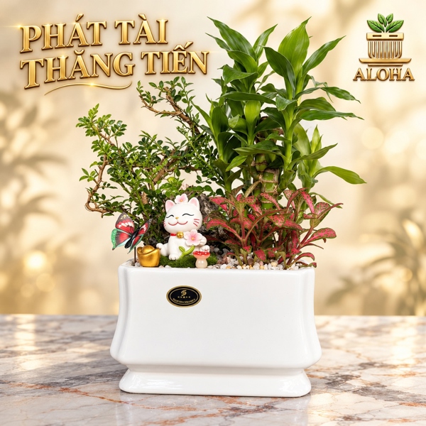 COMBO PHÁT TÀI THĂNG TIẾN