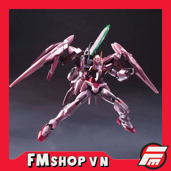 (NOBOX) HG 1/144 TRANS-AM RAISER