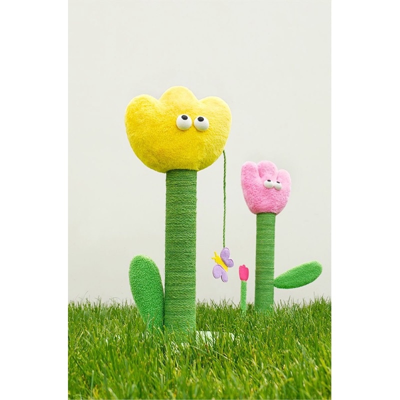 TRỤ CÀO MÓNG HOA TULIP