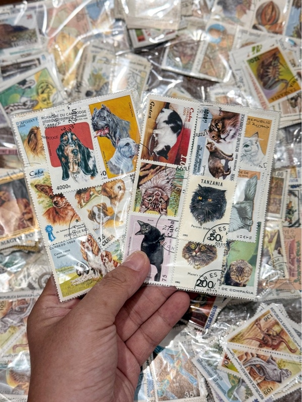 Bộ 100 Tem Bưu Chính Theo Chủ Đề - Nhiều Quốc Gia - Ngẫu Nhiên Không Trùng Lặp - Đa Dạng Kích Thước | Used/CTO