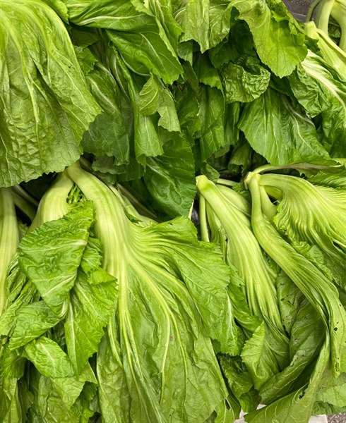 Rau cải muối dưa からし菜の漬物