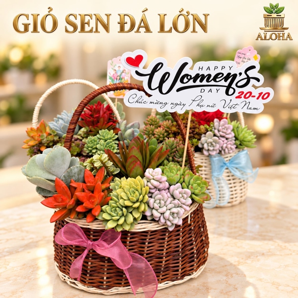 GIỎ SEN ĐÁ LỚN