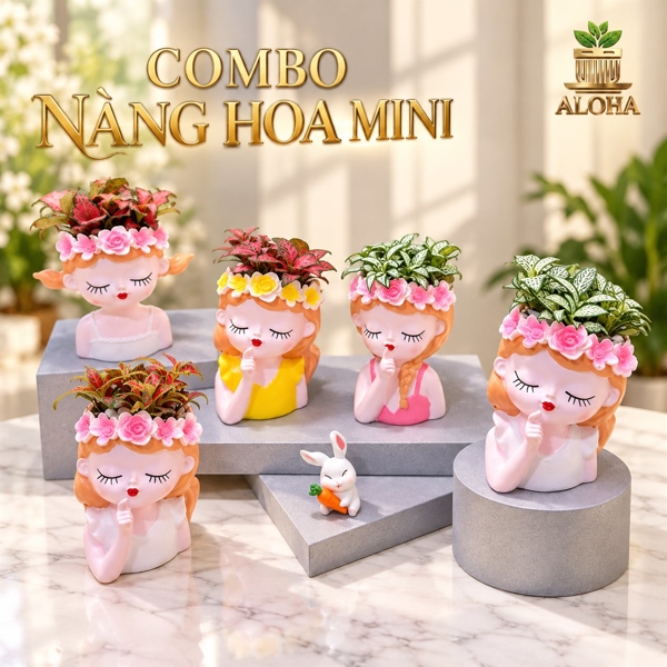 COMBO NÀNG HOA MINI