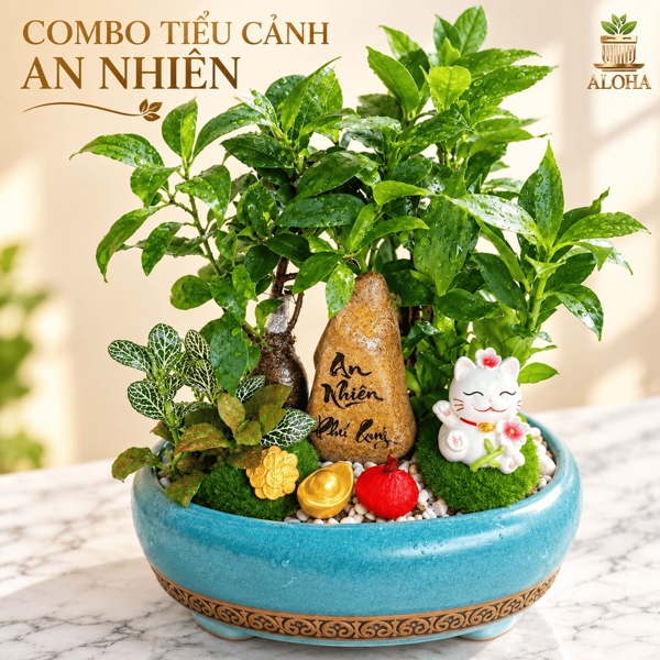 COMBO AN NHIÊN PHÚ QUÝ( PHÁT TÀI + ĐA LỘC)