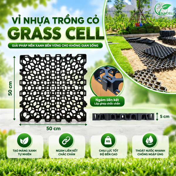 Vỉ trồng cỏ grasscell 500 x 500 x 50mm