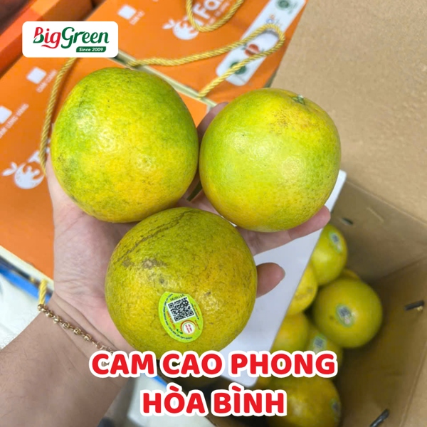 Cam Cao Phong - Hòa Bình