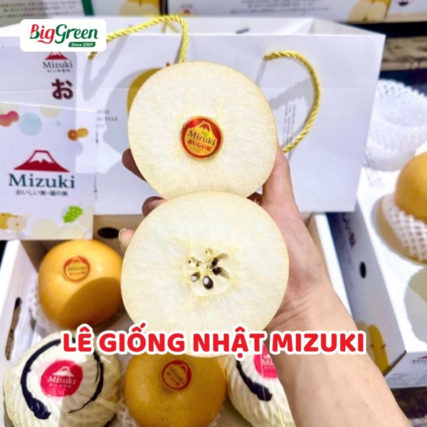 Lê Giống Nhật Mizuki