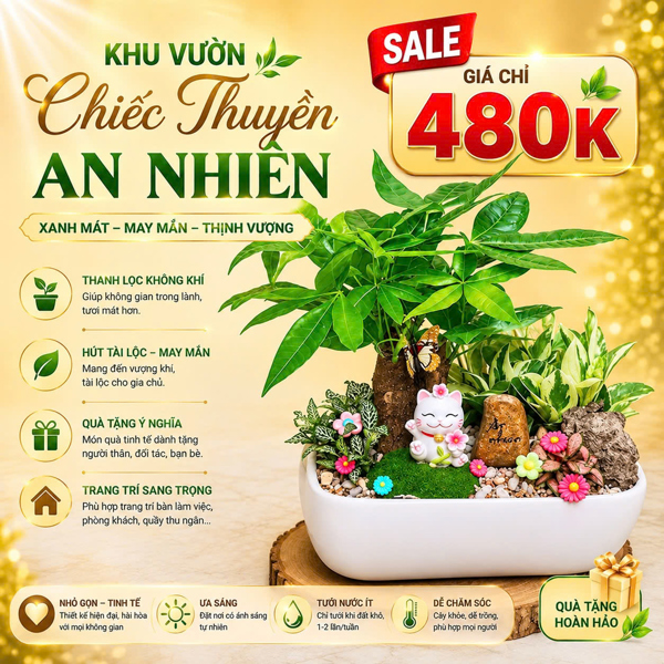 THÀNH PHẨM CHIẾC THUYỀN AN NHIÊN
