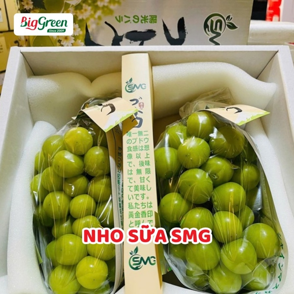 Nho Sữa SMG