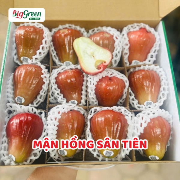 Mận Hồng Sân Tiên