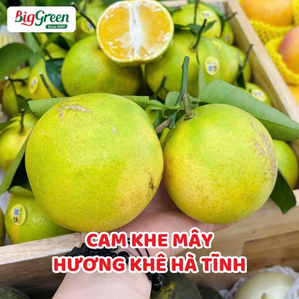 Cam Khe Mây - Hương Khê Hà Tĩnh
