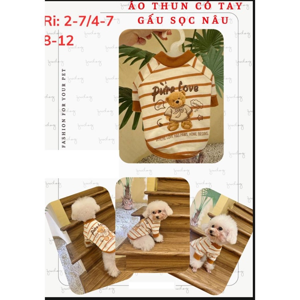 Áo thun có tay gấu xọc nâu