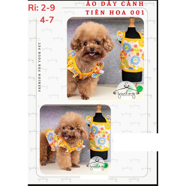 Áo dây cảnh tiên hoa