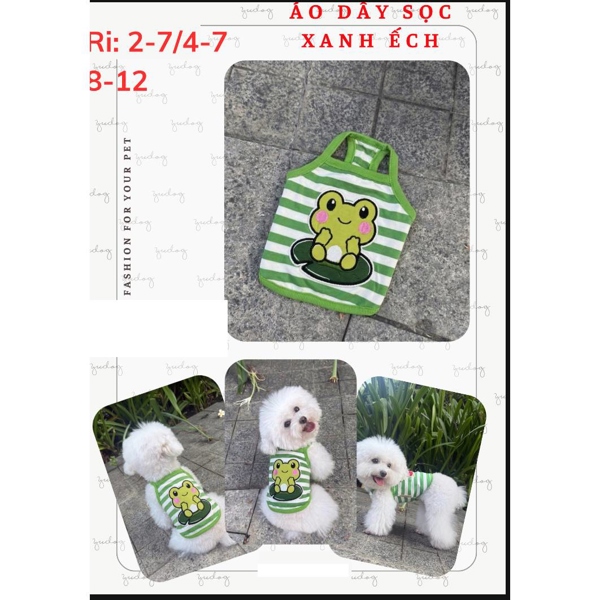 Áo dây xọc xanh ếch