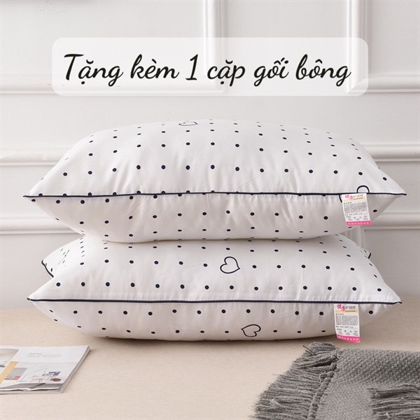Ruột gối bi