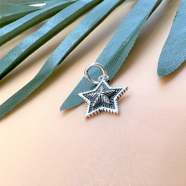 Móc treo ngôi sao nổi - CA269