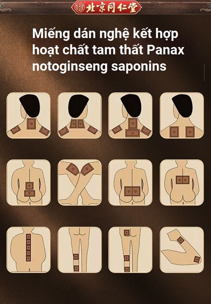 (🚀Nước ngoài - 100% Chính Hãng)👉 Miếng dán cổ vai gáy Nghệ Tam thất Tongren Tang - Trung Quốc 👉 hộp 12 miếng