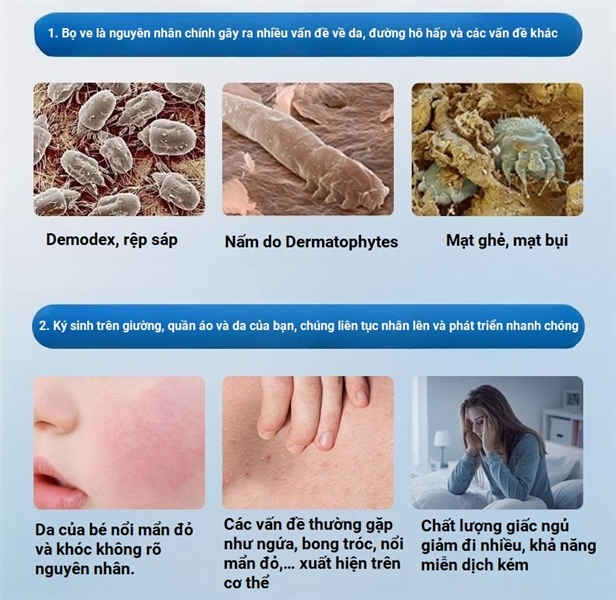 (🚀Nước ngoài - 100% Chính Hãng)👉 Thảo dược ngải cứu tự nhiên, loại bỏ mạt, côn trùng ẩn nấp Renhe - Trung Quốc 👉 50g