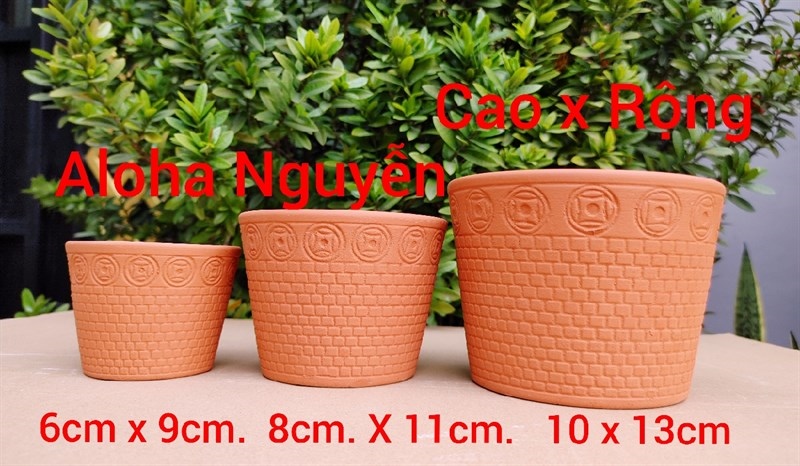 CHẬU VÓT LUỚI ĐẤT NUNG