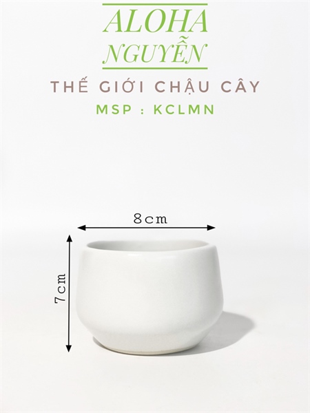 CHẬU KIM CƯƠNG LÙN MINI ( CAO7cmX RỘNG 8cm)