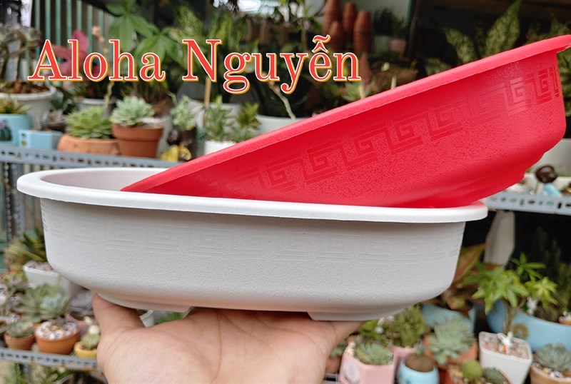 CHẬU BONSAI NHỰA (CAO7cmx RỘNG18cm x DÀI27cm)