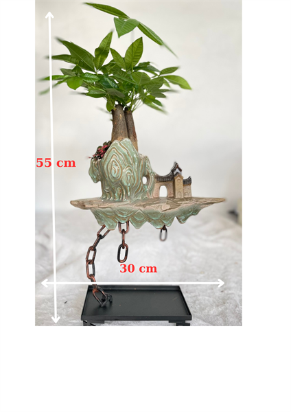 CHẬU TRÊN MÂY MIX KN 3 GỐC