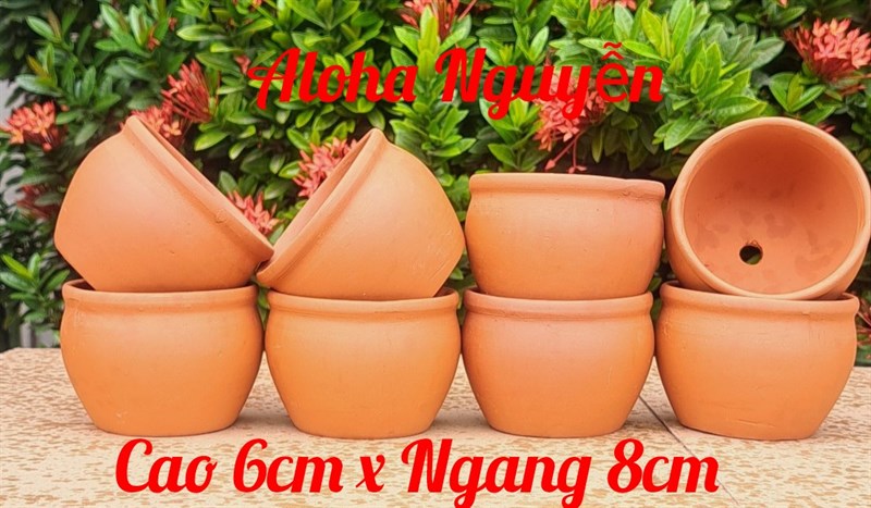 CHẬU HỦ ĐẤT NUNG