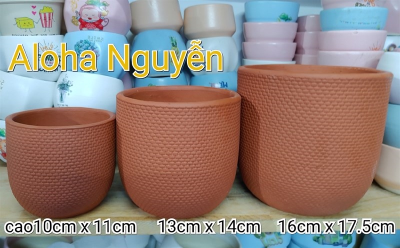 CHẬU LƯỚI ĐẤT NUNG