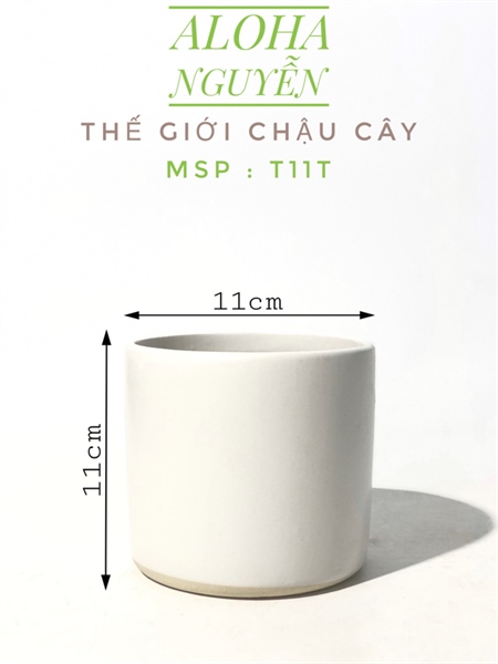 CHẬU TRỤ THẲNG