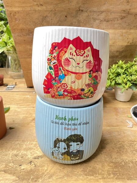 CHẬU LÊ TĂM