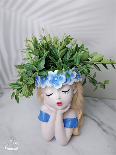 CÔ GÁI DỄ THƯƠNG LỚN TRỒNG BÌNH AN