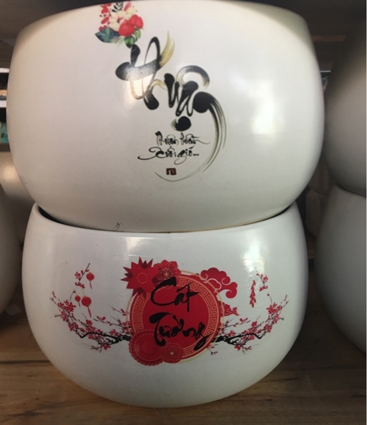 CHẬU HẠT DẺ