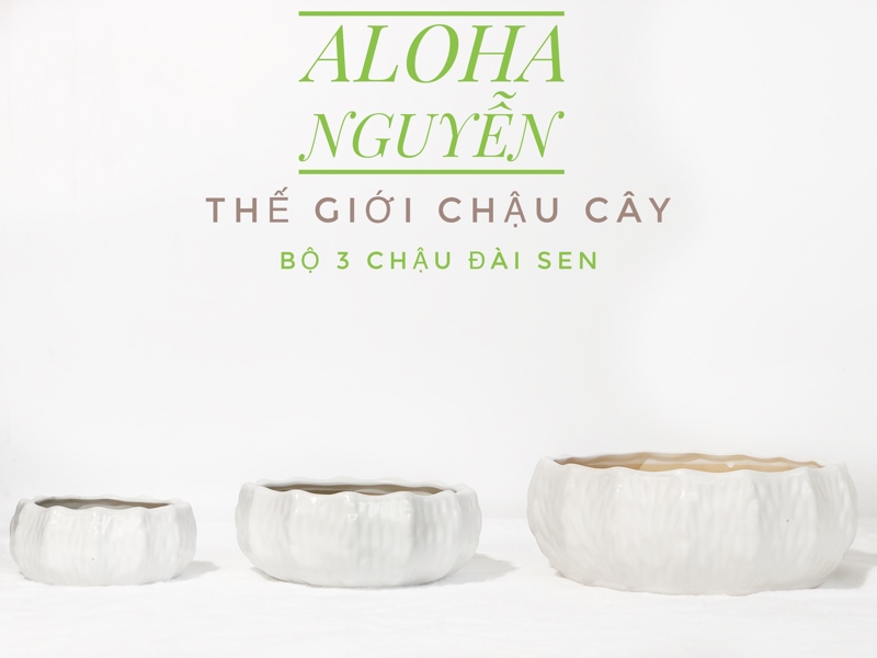 CHẬU ĐÀI SEN