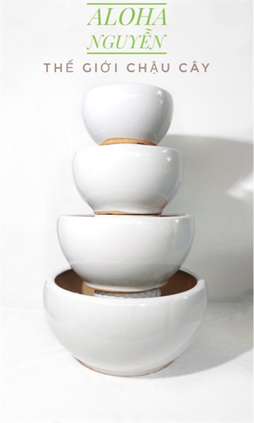 CHẬU HÌNH TRỨNG