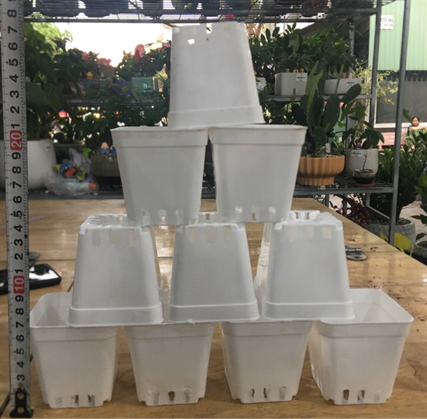 CHẬU NHỰA NHỎ ( 7cm X 7cm)