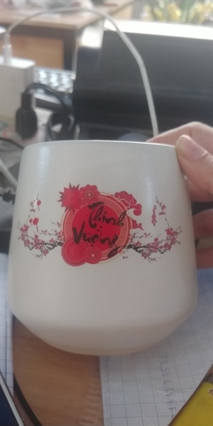 CHẬU KIM CƯƠNG CAO LỚN CÓ HÌNH ( CAO 11CM X 9CM )