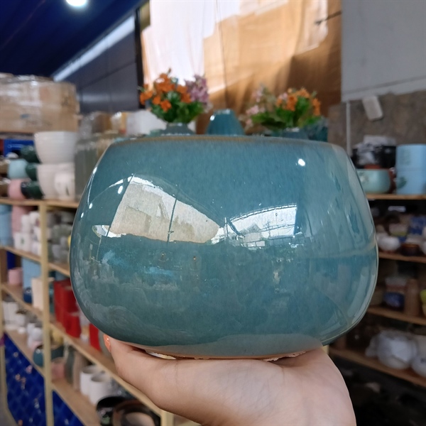 CHẬU HẠT DẺ HỎA BIẾN