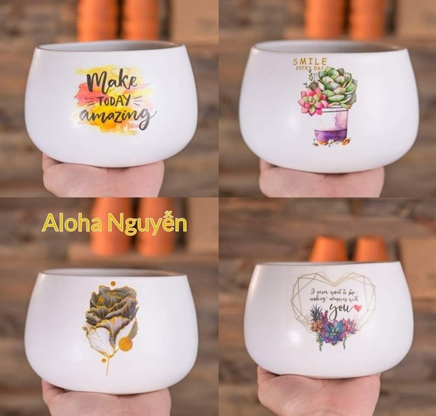 CHẬU HẠT DẺ
