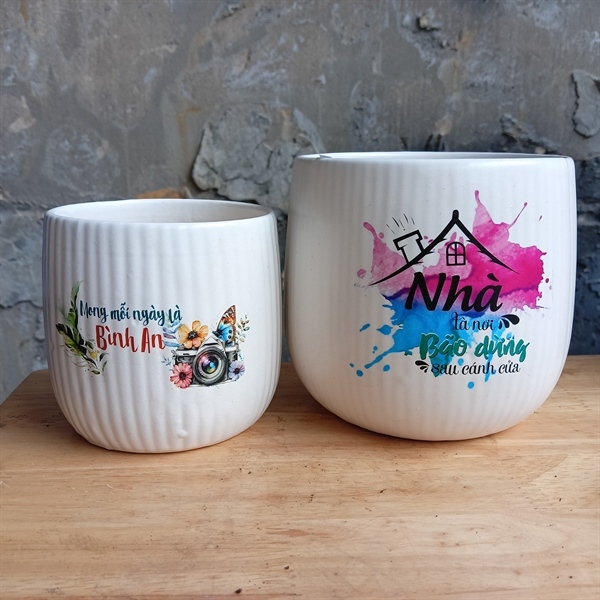 CHẬU LÊ TĂM