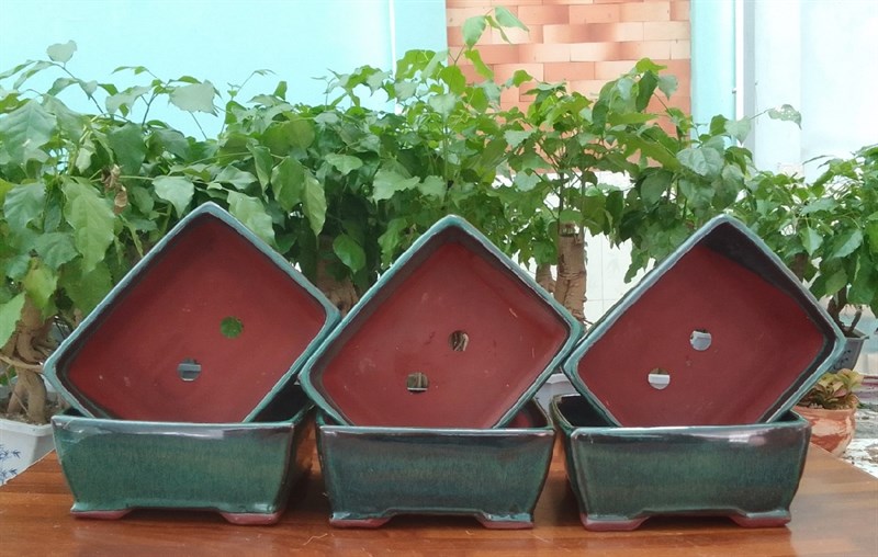 CHẬU HỘP XANH CHỮ NHẬT BIẾN HỎA